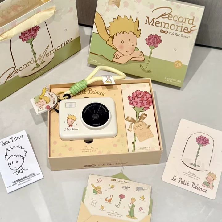 Photography Lighting Patterns - Câmera Flip CCD Le Petit Prince,